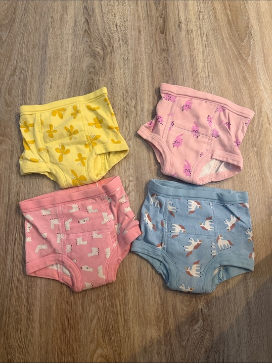 Hanna Andersson Other - Hanna Andersson 4-Pack Training Underwear in Yellow, Light Pink, Pink, Blue